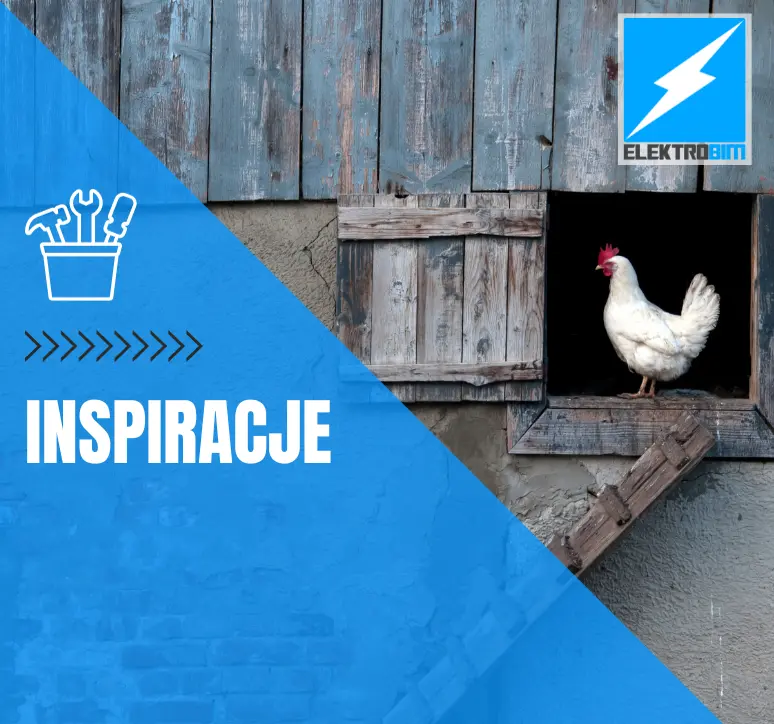 Electric actuator with a timer – how easy it is to make an automatic door to a chicken coop