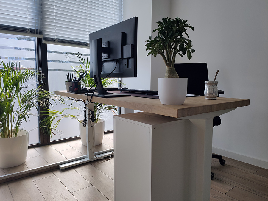 biurko regulowanie opinia